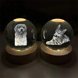 Personalized Crystal Ball Night Light For Pet lovers