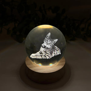 Personalized Crystal Ball Night Light For Pet lovers