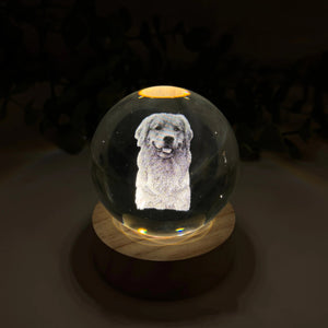 Personalized Crystal Ball Night Light For Pet lovers