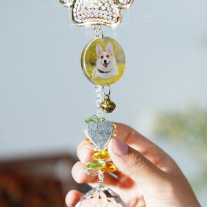 Personalized Photo Crystal Pet Souvenir Light Trap Sun Catcher Memorial Dog/Cat Gift