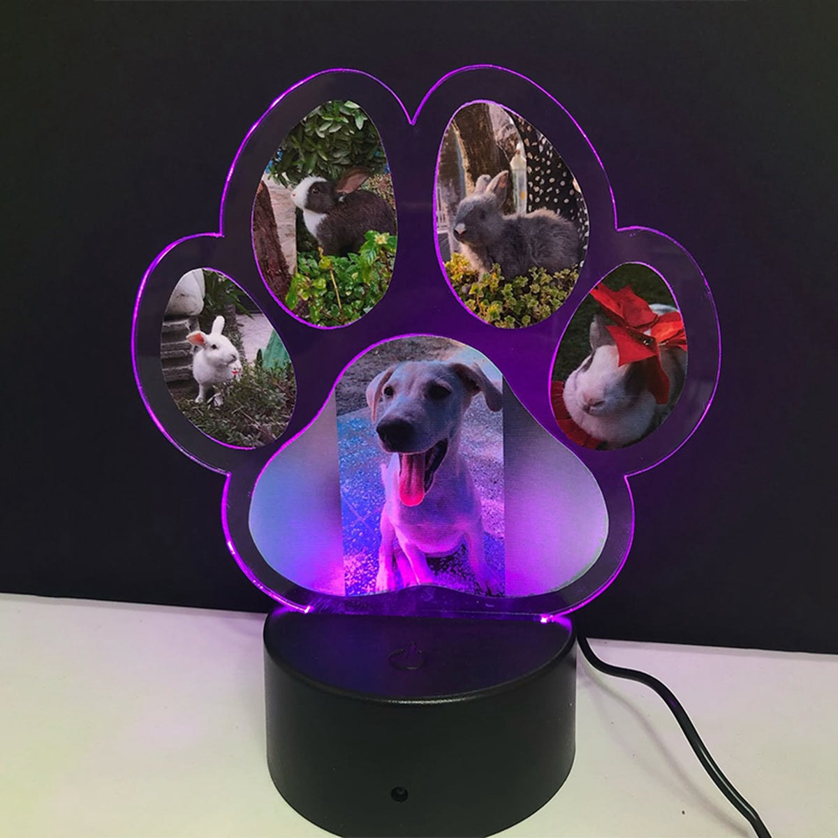 Custom Photo Dogs Paw Personalized Acrylic Block LED Night Light