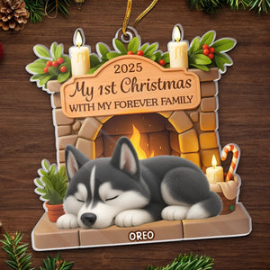 Custom First Christmas Acrylic Ornament - Personalized Christmas Birthday Gifts For Dog Lovers