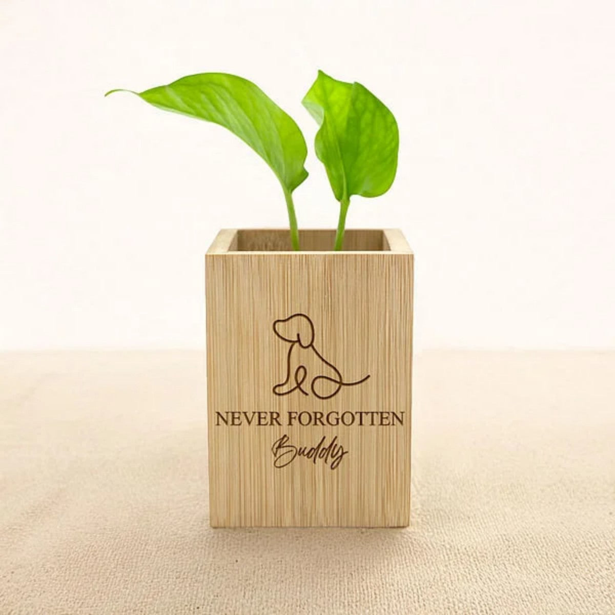 paw print plant pot Personalised Pet Line Drawing Dog Cat Paw Print Wooden Flower Pot Symp