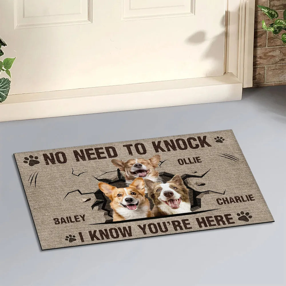 I Know You Are Here - Personalized Custom Doormat Gift For Pet Owners, Pet Lovers