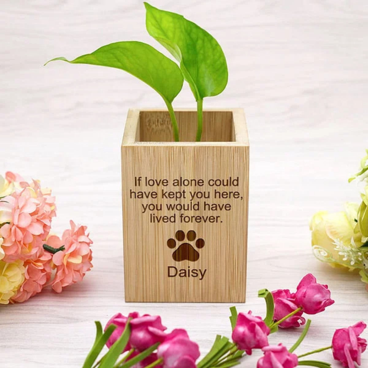 Personalised Pet Line Drawing Dog Cat Paw Print Wooden Flower Pot Sympathy Memorial Gift for Loss of Pet