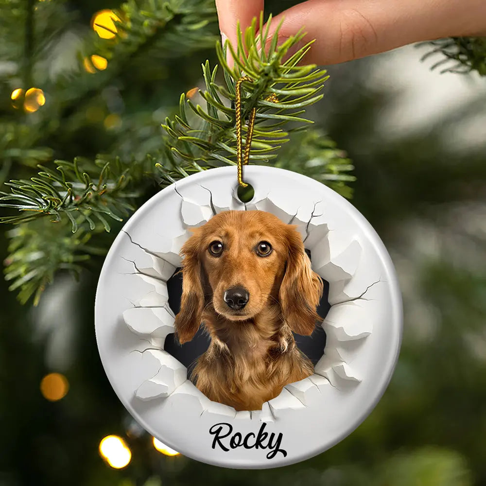 Custom Photo Snow Hole Funny Dog Cat Pet - Personalized Circle Ceramic Ornament