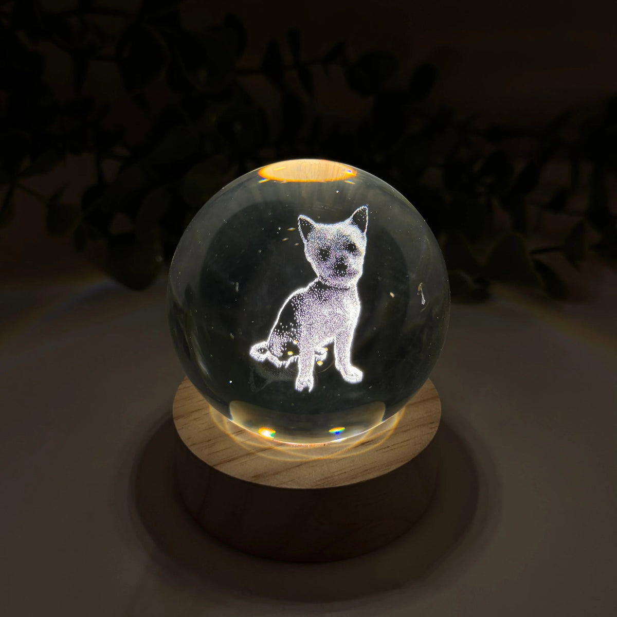 Personalized Crystal Ball Night Light For Pet lovers