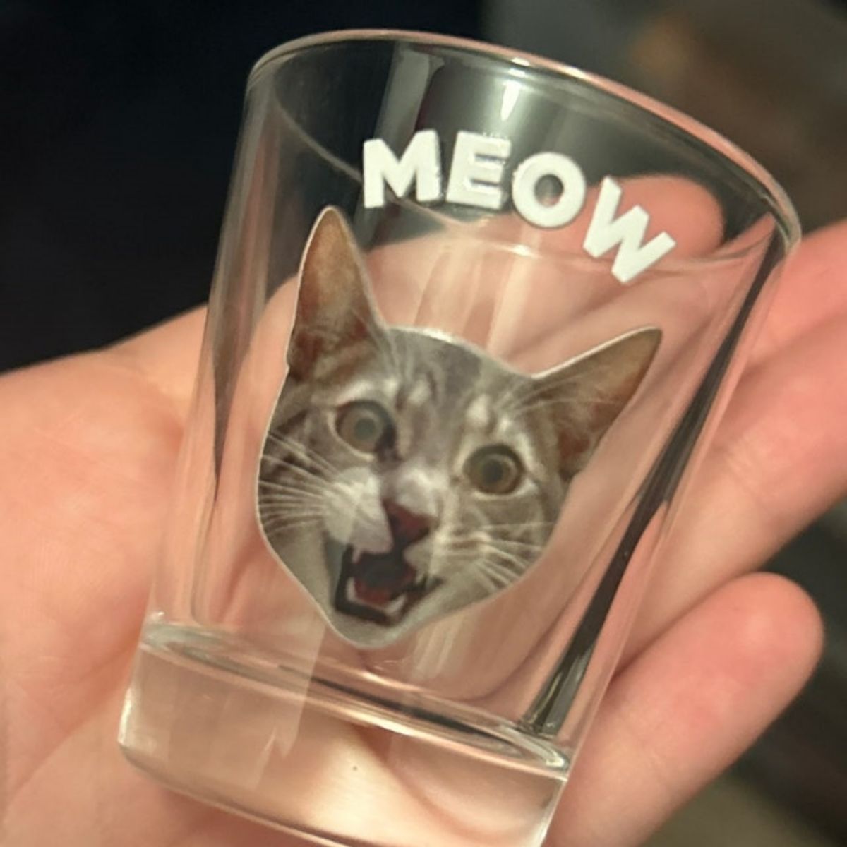 Personalized Custom Text Face Shot Glasses