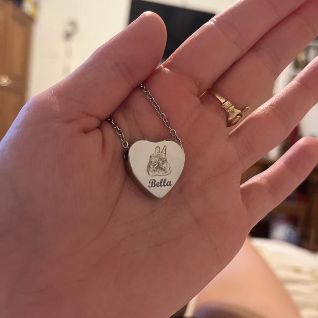 Heart Urn Pet Loss • Pet Urn Necklace Cremation Jewelry Personalized Memorial Gift For Pet Lovers