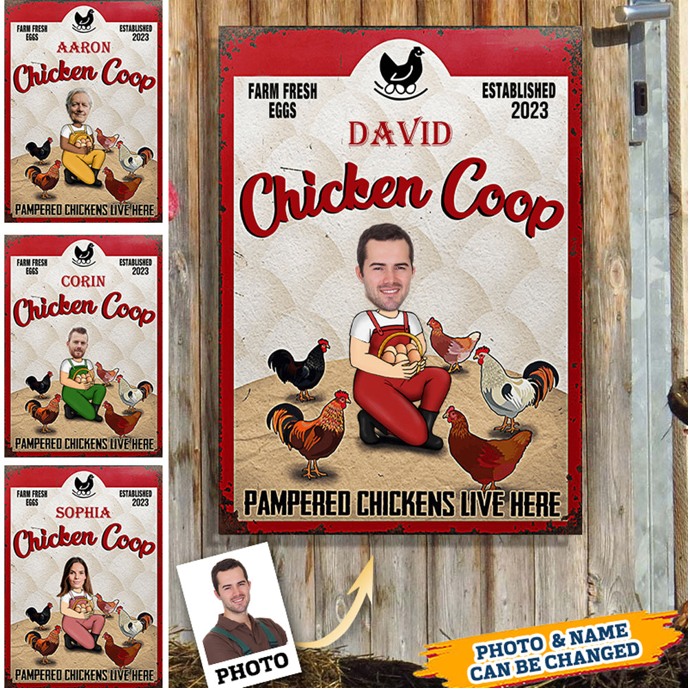 Pampered Chickens Live Here - Chicken Coop Decoration - Personalized Custom Classic Metal Signs
