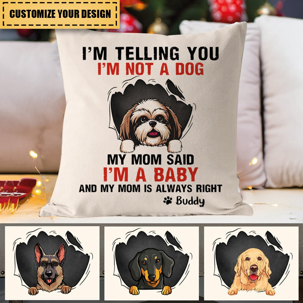 My Mom Said, Personalized Pillows, Custom Gift for Dog Lovers